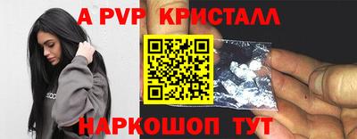 jwh Кингисепп