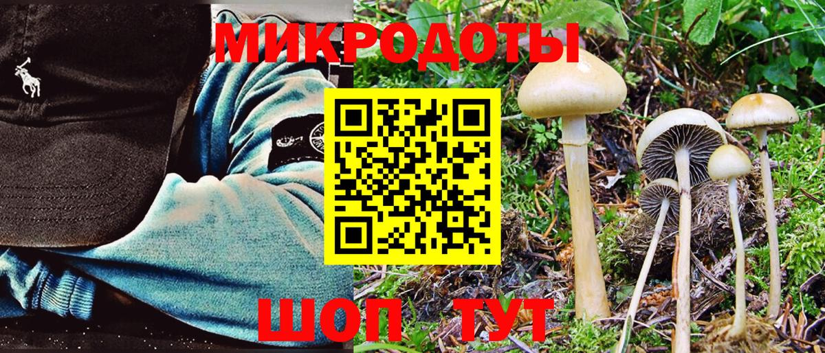 Галлюциногенные грибы мицелий Котельники