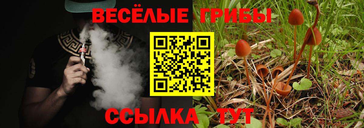 Котельники  купить   Вход с VPN  Галлюциногенные грибы GOLDEN TEACHER 